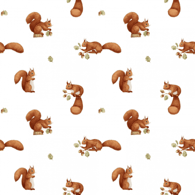 Tissu petit écureuil